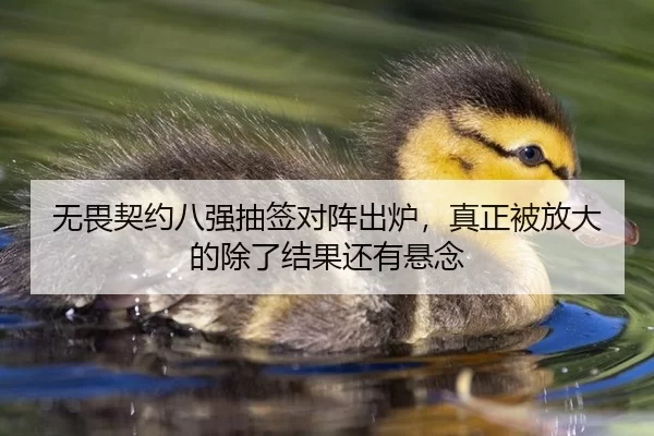 无畏契约八强抽签对阵出炉，真正被放大的除了结果还有悬念
